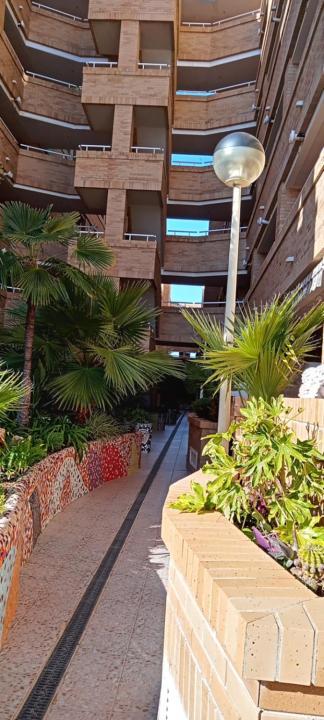 Apartamento Costa Azahar 1, Ub Marina D'Or - Oropesa Oropesa del Mar Eksteriør billede